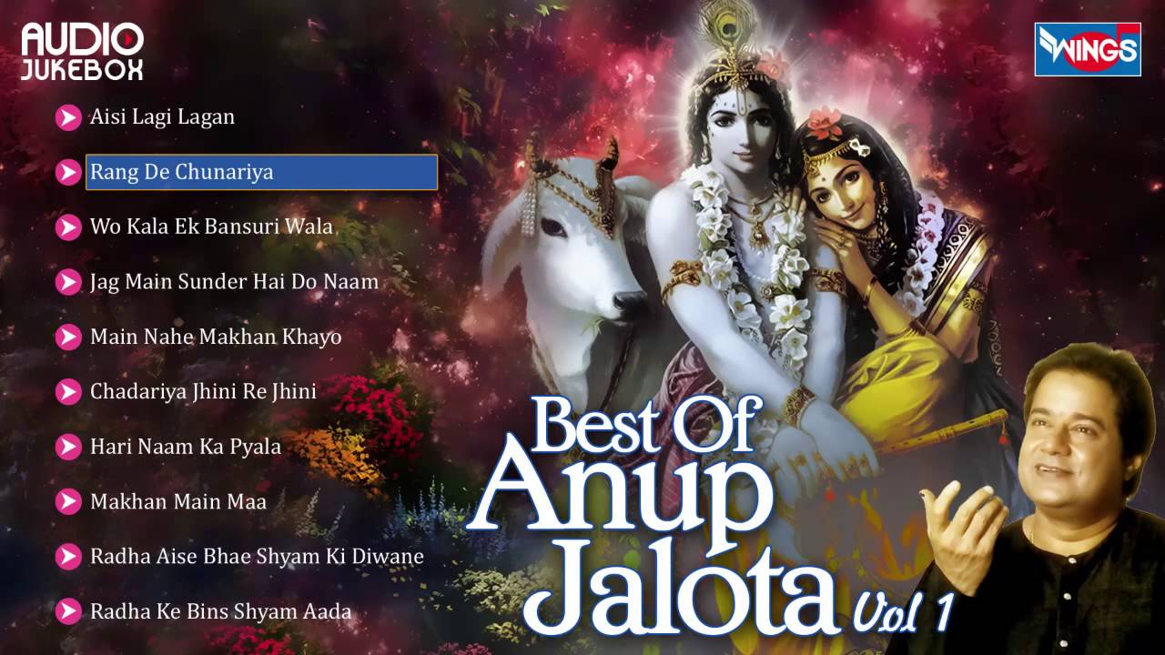 10 Anup Jalota Bhajans | Hindi Non Stop Bhajan Sandhya | Anup Jalota Songs - sai aashirwad